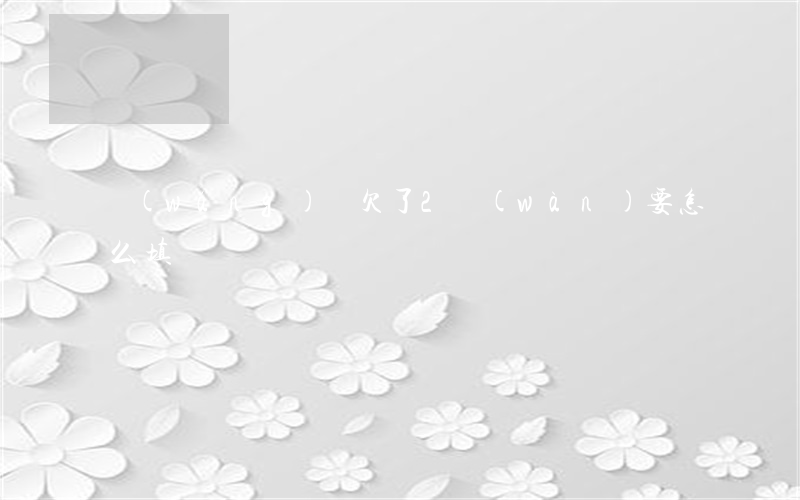網(wǎng)貸欠了2萬(wàn)要怎么填