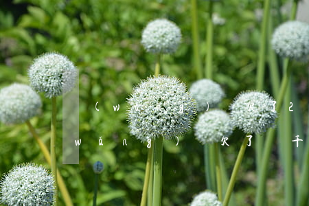 網(wǎng)貸欠了2萬多_還不上(網(wǎng)貸欠了幾千塊錢還不上)