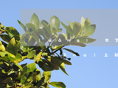 網(wǎng)貸欠了2萬多買彩票還不中(網(wǎng)上彩票輸了還不上幾十萬怎么辦)