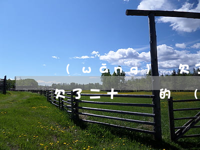 網(wǎng)貸欠了2萬多還不起怎么辦(欠了二十幾萬的網(wǎng)貸還不起了怎么辦)