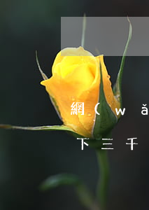 網(wǎng)貸欠了3000怎么辦辦(欠下三千網(wǎng)貸怎么辦)