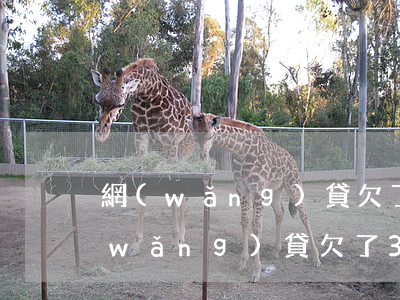 網(wǎng)貸欠了30幾個不還了(網(wǎng)貸欠了30萬怎么辦)
