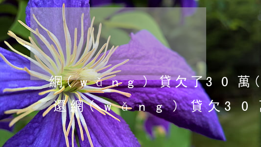網(wǎng)貸欠了30萬(wàn)不還(網(wǎng)貸欠30萬(wàn)怎么辦)