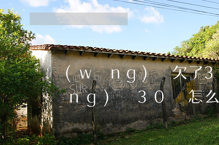 網(wǎng)貸欠了30萬跑路(欠網(wǎng)貸30萬怎么辦)