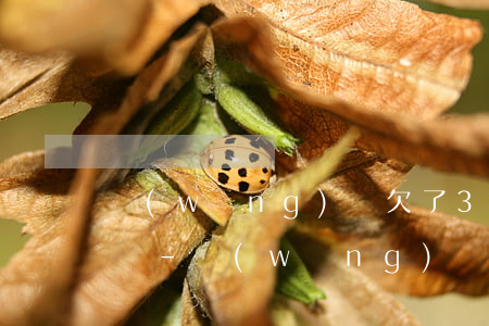 網(wǎng)貸欠了30萬還能辦信用卡嗎-網(wǎng)貸欠了30萬還能辦信用卡嗎知乎