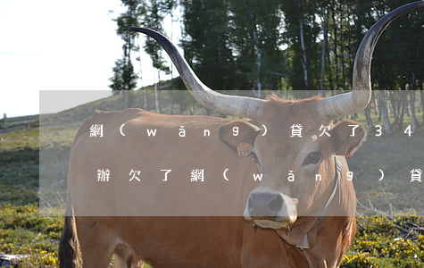 網(wǎng)貸欠了34萬還不上要怎么辦(欠了網(wǎng)貸三四萬還不起了怎么辦)