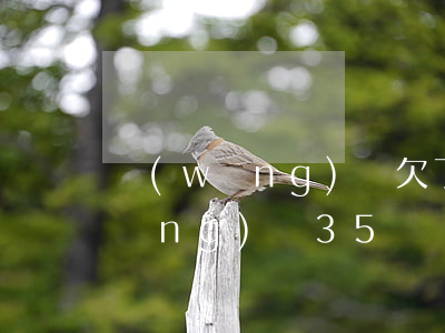 網(wǎng)貸欠了35萬怎么賺(網(wǎng)貸35萬還不了怎么辦)