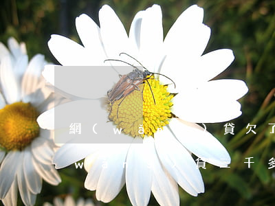 網(wǎng)貸欠了3千多被起訴(欠網(wǎng)貸三千多會起訴嗎)