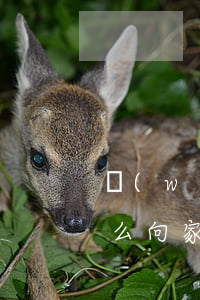 網(wǎng)貸欠了3萬(wàn)多怎么向家人坦白-網(wǎng)貸欠了3萬(wàn)多怎么向家人坦白呢