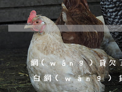 網(wǎng)貸欠了3萬6怎么向家人坦白(網(wǎng)貸三萬怎么坦白)