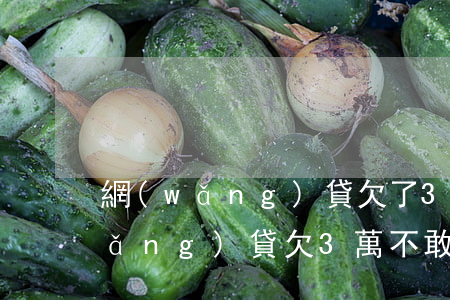 網(wǎng)貸欠了3萬怎么安慰(網(wǎng)貸欠3萬不敢告訴家人)