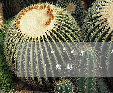 網(wǎng)貸欠了4000元會(huì)被起訴嗎-