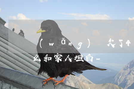 網(wǎng)貸欠了40萬(wàn)怎么和家人坦白-