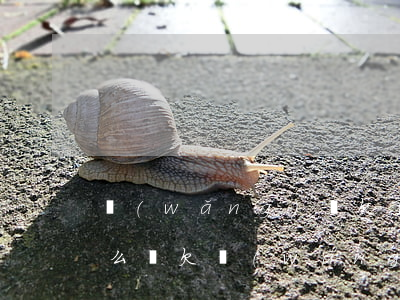 網(wǎng)貸欠了40萬(wàn)怎么辦(欠網(wǎng)貸40萬(wàn)死了算了)