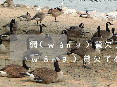 網(wǎng)貸欠了40萬還不起了(網(wǎng)貸欠了40萬無力償還怎么辦)
