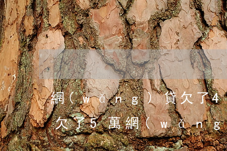 網(wǎng)貸欠了4w怎么跟父母坦白(欠了5萬網(wǎng)貸還不起了要向父母坦白嗎)