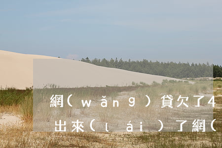 網(wǎng)貸欠了4萬(wàn)借不出來(lái)了(網(wǎng)貸欠了4萬(wàn)怎么辦)