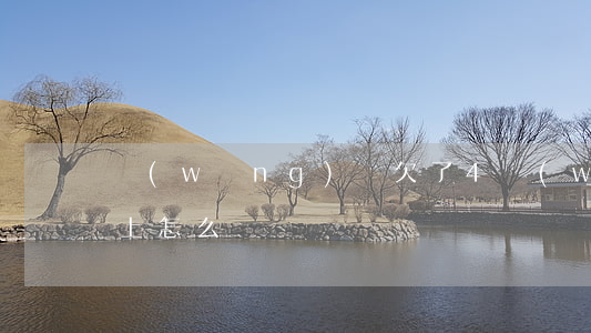 網(wǎng)貸欠了4萬(wàn)還不上怎么辦