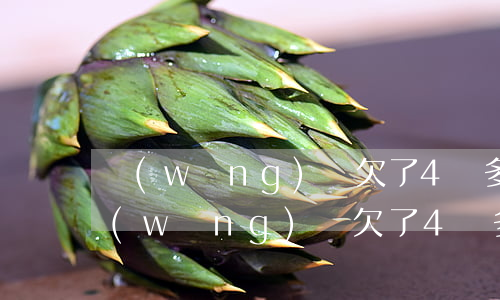 網(wǎng)貸欠了4萬多該怎么辦-網(wǎng)貸欠了4萬多該怎么辦呢