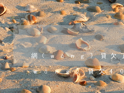 網(wǎng)貸欠了5000算多嗎(網(wǎng)貸欠4000)