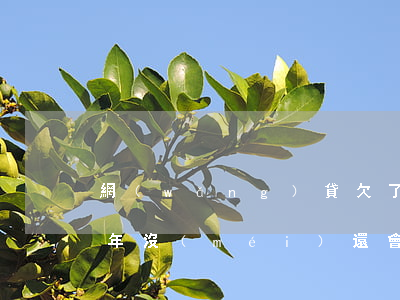 網(wǎng)貸欠了50萬(wàn)一年沒(méi)還會(huì)怎樣(網(wǎng)貸欠款50萬(wàn)還不上)