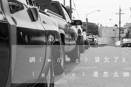 網(wǎng)貸欠了5千沒(méi)錢(qián)還怎么辦(網(wǎng)貸欠了五千怎么辦)