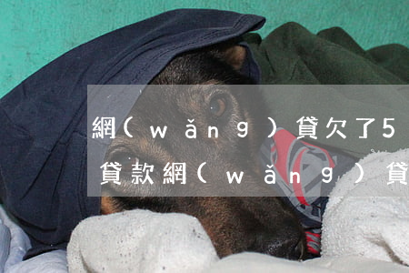 網(wǎng)貸欠了5萬(wàn)怎么貸款(網(wǎng)貸欠5萬(wàn)多嗎)