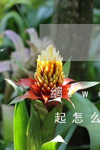網(wǎng)貸欠了5萬(wàn)還不起怎么辦(網(wǎng)貸5萬(wàn)還不上怎么辦)