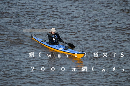 網(wǎng)貸欠了6000元被起訴(欠2000元網(wǎng)貸會起訴嗎)