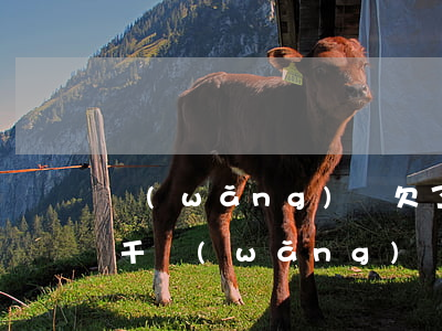 網(wǎng)貸欠了6w該怎么辦(欠了6千網(wǎng)貸)