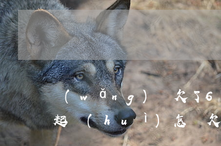 網(wǎng)貸欠了6萬(wàn)還不起會(huì)怎樣(欠了6萬(wàn)的網(wǎng)貸我該怎么辦)