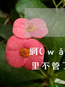 網(wǎng)貸欠了70萬(wàn)家里不管了怎么辦(欠網(wǎng)貸10幾萬(wàn)家里又沒(méi)錢(qián))