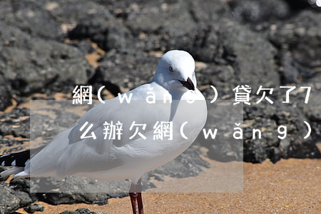 網(wǎng)貸欠了70萬家里不管了怎么辦(欠網(wǎng)貸10幾萬家里又沒錢)