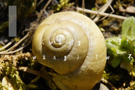 網(wǎng)貸欠了7萬不還怎么樣（網(wǎng)貸7w還不起）