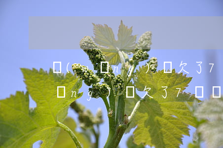 網(wǎng)貸欠了7萬塊怎么辦(網(wǎng)貸欠了7萬塊錢如何上岸)
