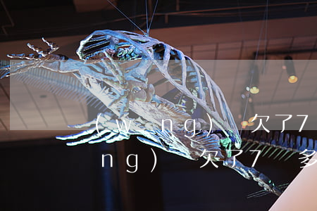 網(wǎng)貸欠了7萬多怎么辦(網(wǎng)貸欠了7萬多怎么辦)