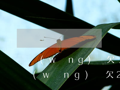 網(wǎng)貸欠了8000能上門嗎(網(wǎng)貸欠2500會上門收嗎)