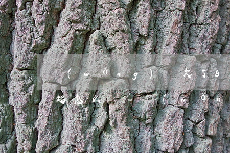 網(wǎng)貸欠了8萬(wàn)還不起怎么辦-網(wǎng)貸欠了8萬(wàn)還不起怎么辦呢