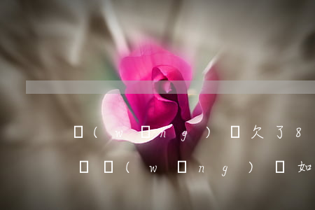 網(wǎng)貸欠了8萬如何上岸(欠十幾萬網(wǎng)貸如何上岸)