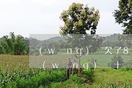 網(wǎng)貸欠了8萬怎么跟丈夫說(欠網(wǎng)貸十幾萬不敢跟老公講怎么辦)