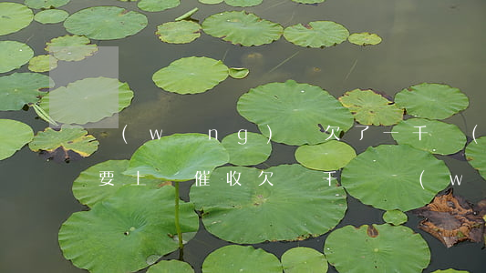 網(wǎng)貸欠了一千說(shuō)要上門催收(欠幾千塊網(wǎng)貸會(huì)上門催收嗎)