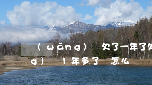 網(wǎng)貸欠了一年了(欠網(wǎng)貸1年多了會怎么樣)