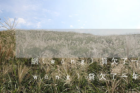 網(wǎng)貸欠了一年再還能還嗎(網(wǎng)貸欠了一年再還能還嗎)