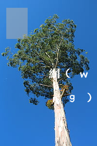 網(wǎng)貸欠了一年多了(欠網(wǎng)貸1年多了會(huì)怎么樣)