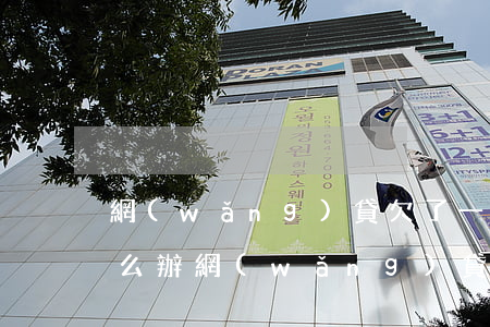 網(wǎng)貸欠了一萬(wàn)五怎么辦(網(wǎng)貸欠了一萬(wàn)五我該怎么辦)