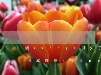 網(wǎng)貸欠了一萬(wàn)多如何處理(網(wǎng)貸欠幾千怎么辦)