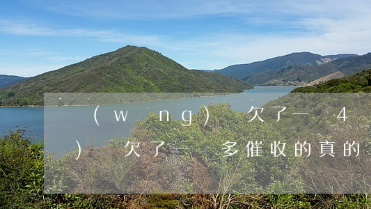 網(wǎng)貸欠了一萬4(網(wǎng)貸欠了一萬多催收的真的會上門嗎)