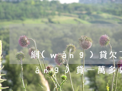 網(wǎng)貸欠了一萬怎么上岸(網(wǎng)貸一萬多如何上岸)