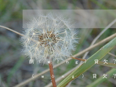 網(wǎng)貸欠了一萬怎么和家里說(網(wǎng)貸欠了二萬多怎么給家里說)