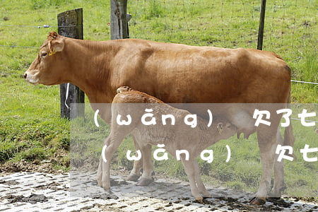 網(wǎng)貸欠了七八萬還不上怎么辦(網(wǎng)貸欠七八萬不還會(huì)怎樣)